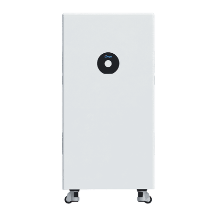 Batteria Deye LiFePo4 da 16 kWh, SE-F16 C