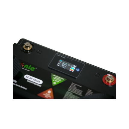 Batteria LiFePo4 da 12,8 V e 100 Ah